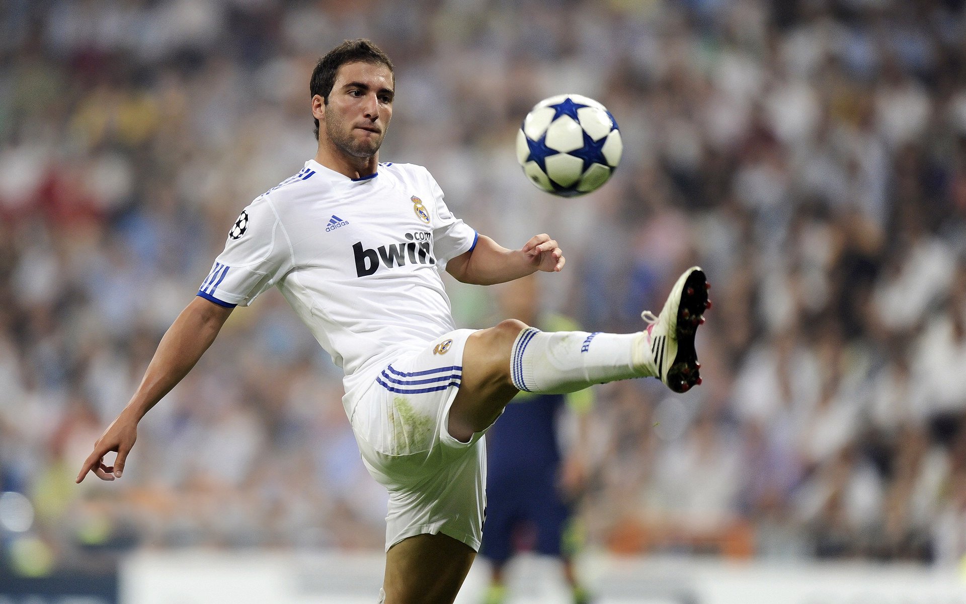 塔图姆复出首秀出彩，拜仁慕尼黑主场爆冷本菲卡，豪取8连胜