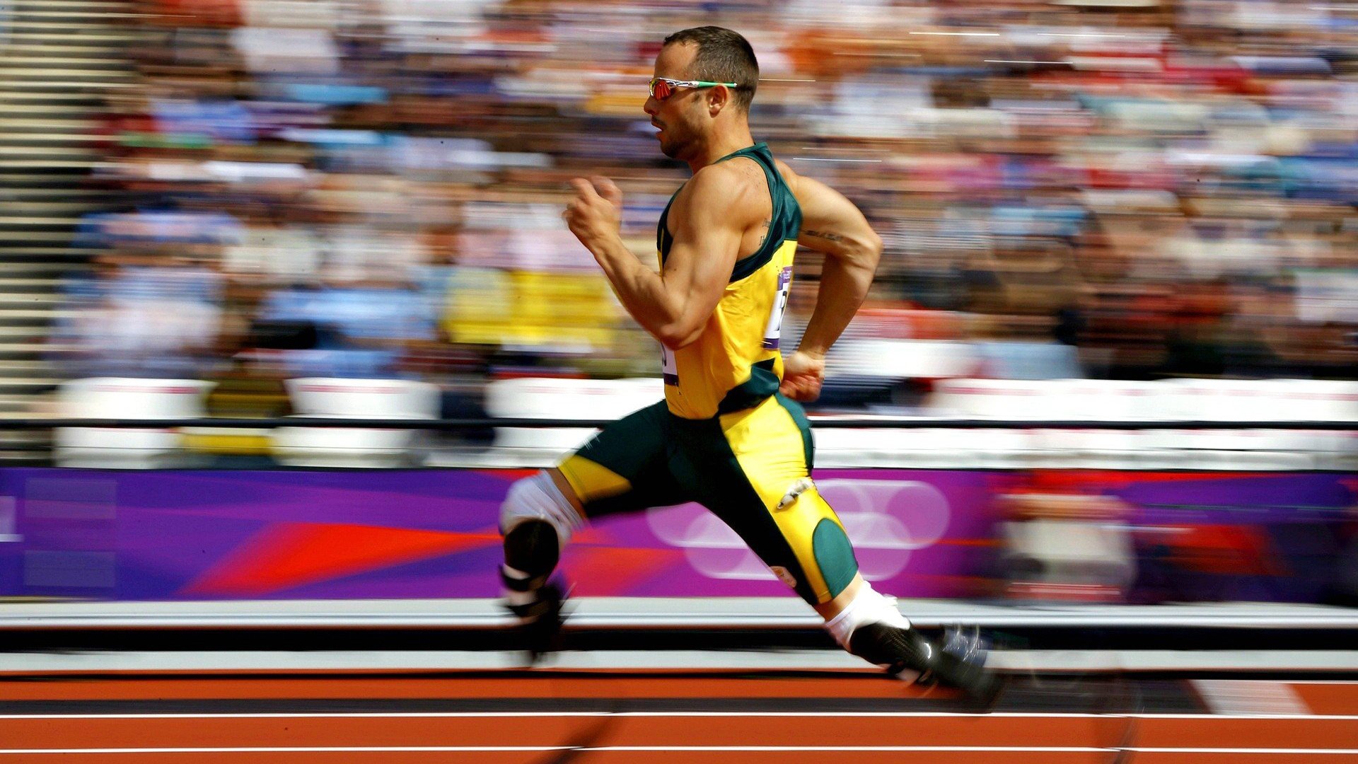 今夜亚洲杯前瞻：樊振东伤情更新，巴黎圣日耳曼冲击连败纪录