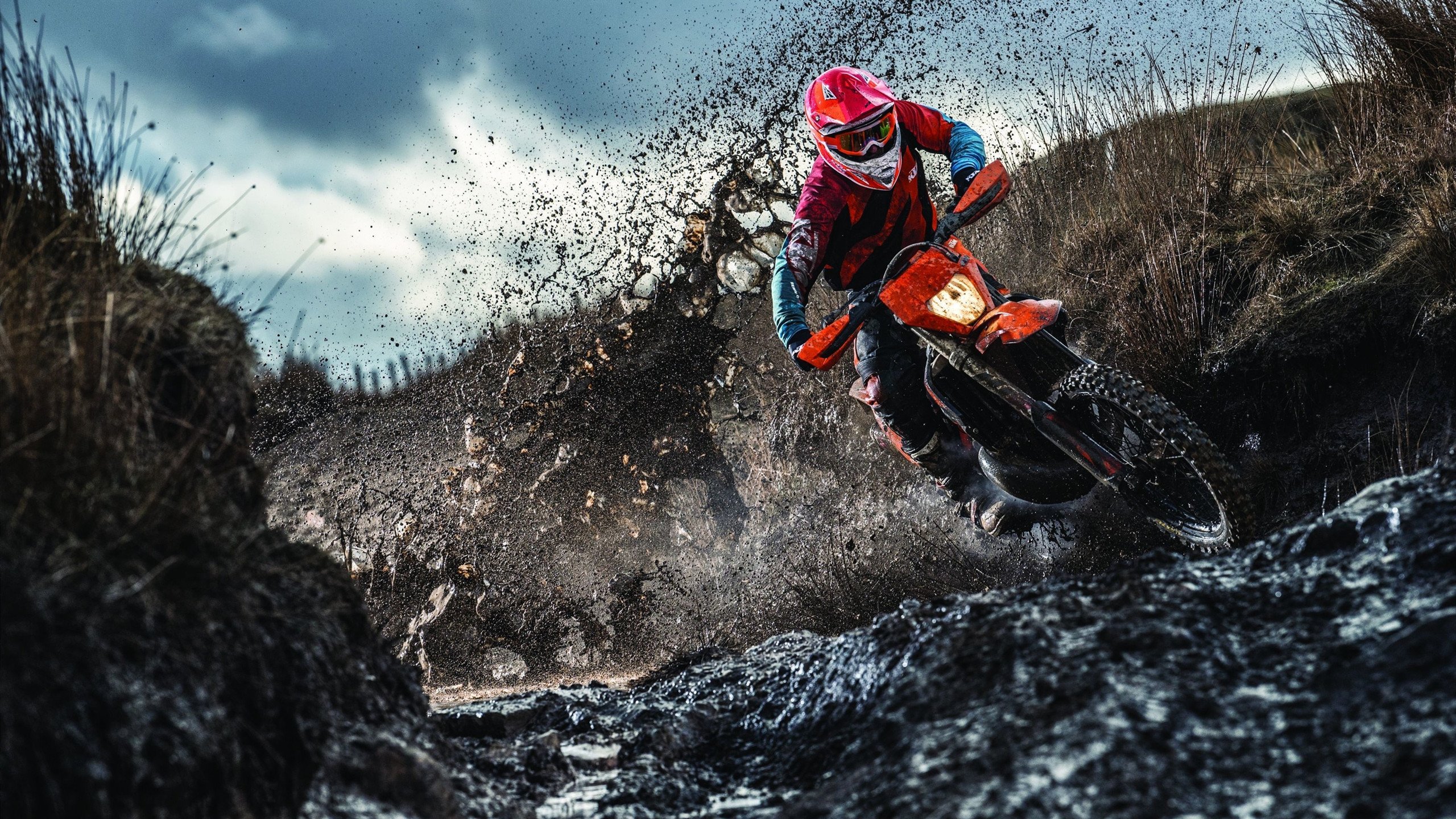 Faker回归赛场，逆转首场状态亮眼，法国队观众沸腾！